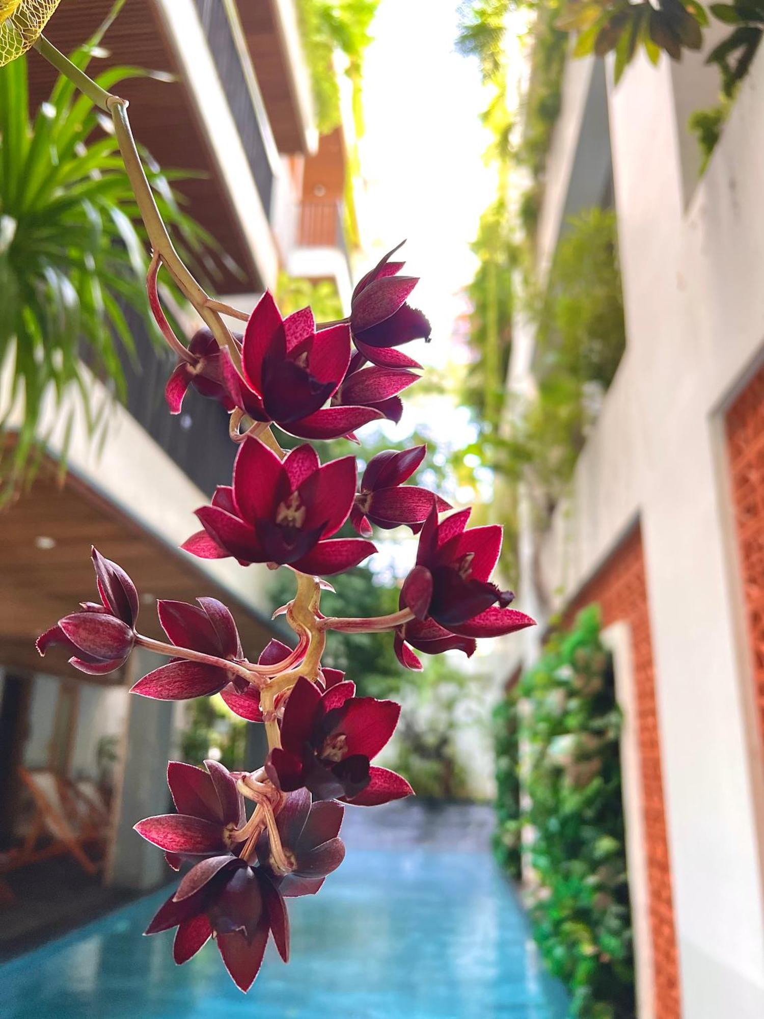 Hotel Ponte Boutique Đà Nẵng Exterior foto